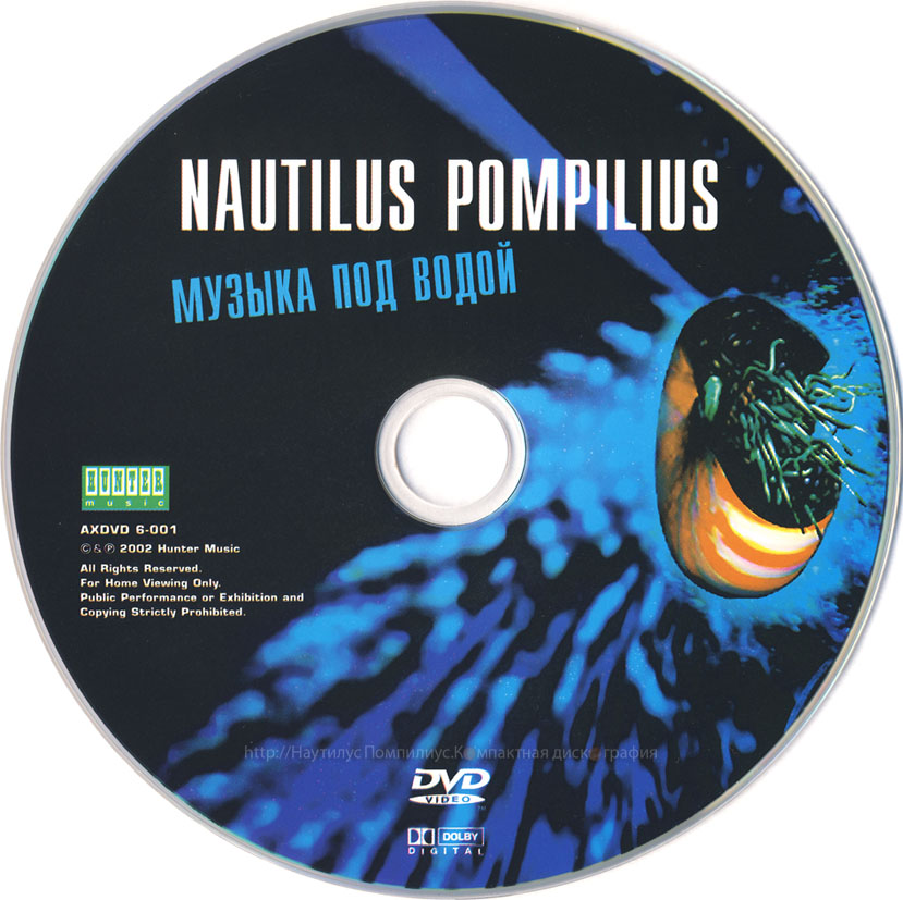 Я хочу быть с тобой - nautilus pompilius скачать mp3 слушать песню онлайн бесплатно | topmuz.me
