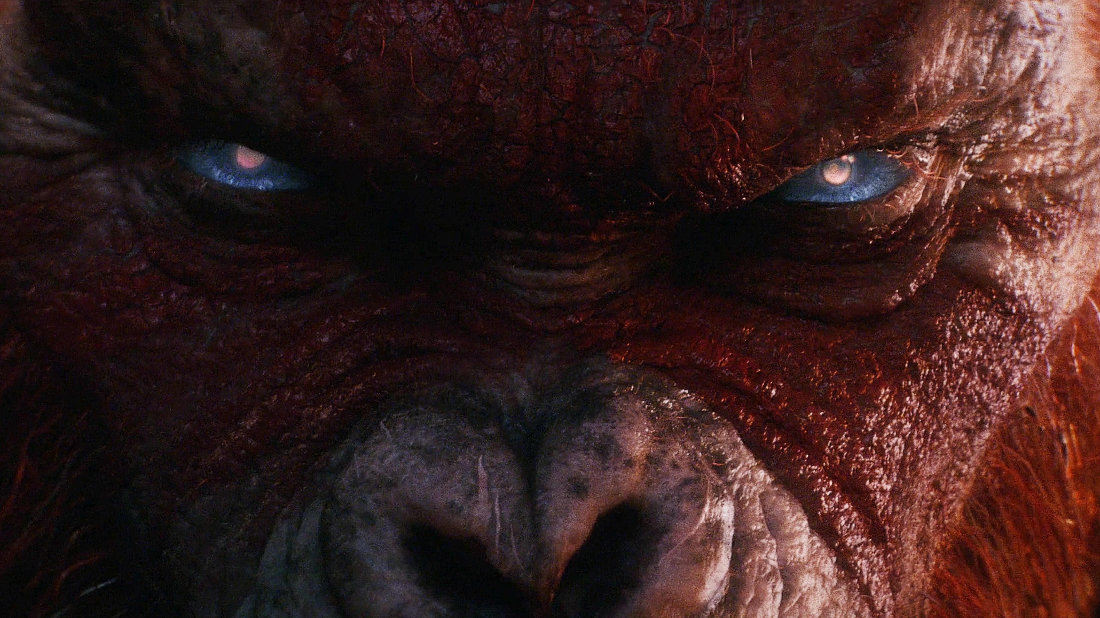 Godzilla x kong: the new empire | gojipedia | fandom