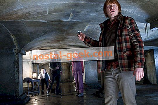 Клички и имена животных и персонажей в гарри поттере