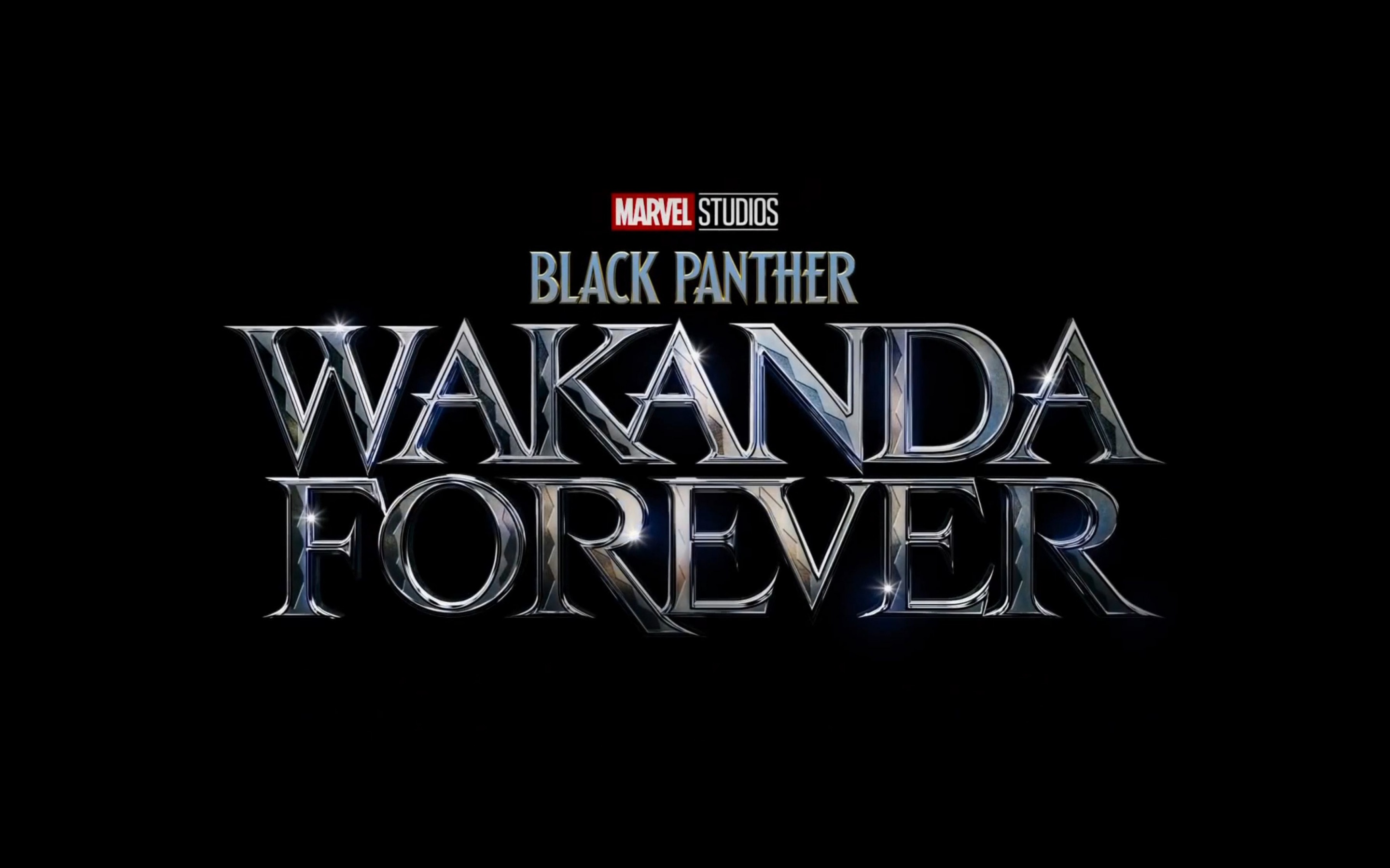 Черная пантера: объяснение концовки wakanda forever