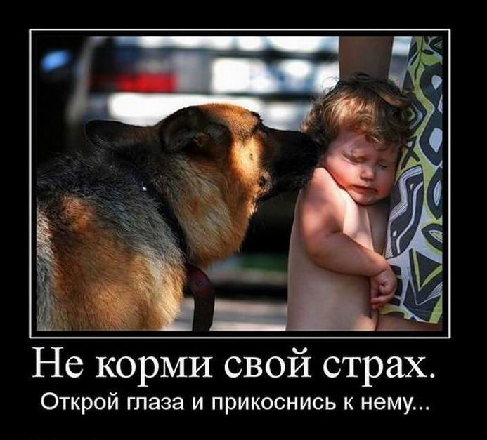 В сети объявился свежий трейлер загадочного фильма ужасов Не бойся на самом деле Страх или Fear, но допустим
