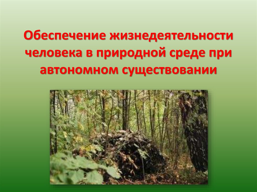 Загадочная земля тысячи камней в genshin impact