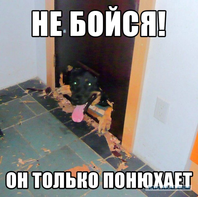Не бойся