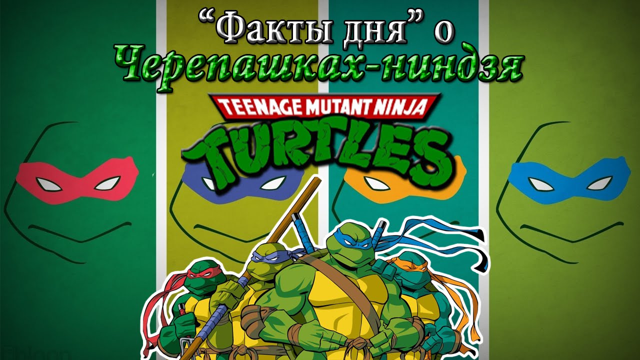 Про черепашек-ниндзя делают ааа-игру. появился бумажный анонс на 2023 год