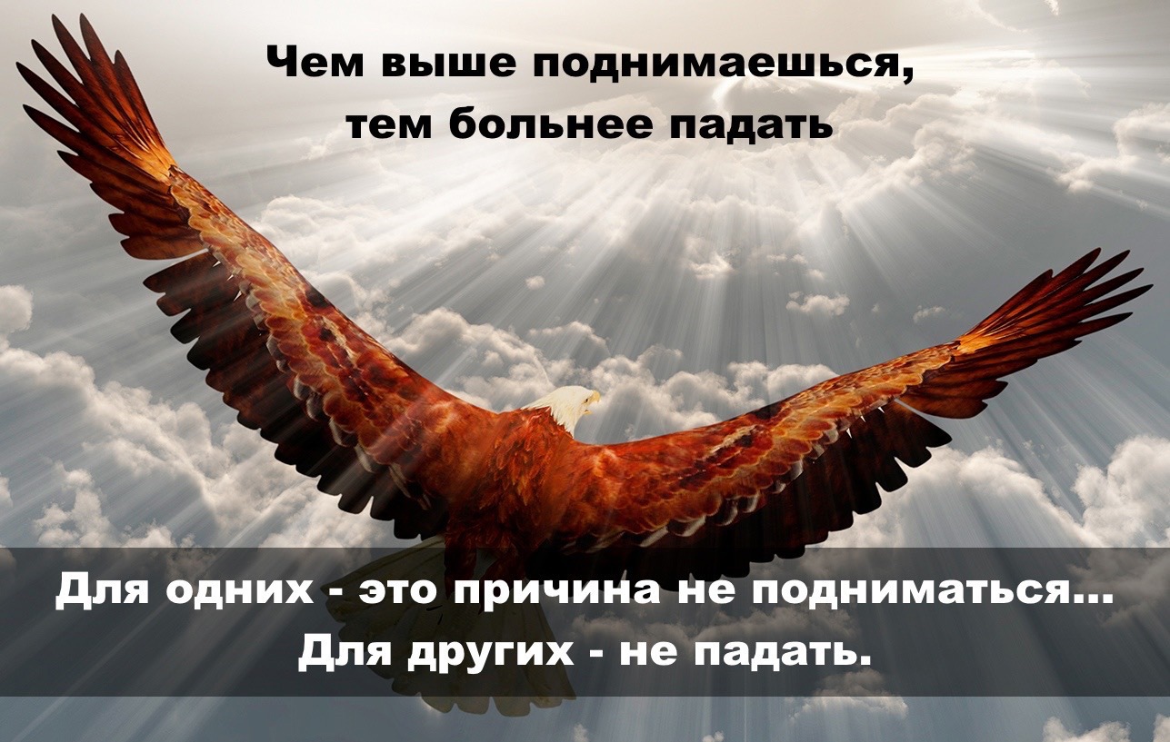 Отношения Харли Квинн и Джокера являются одними из самых запоминающихся в киновселенной DC, даже несмотря на то, что мистер Джей в исполнении Джареда Лето оказался довольно провальным