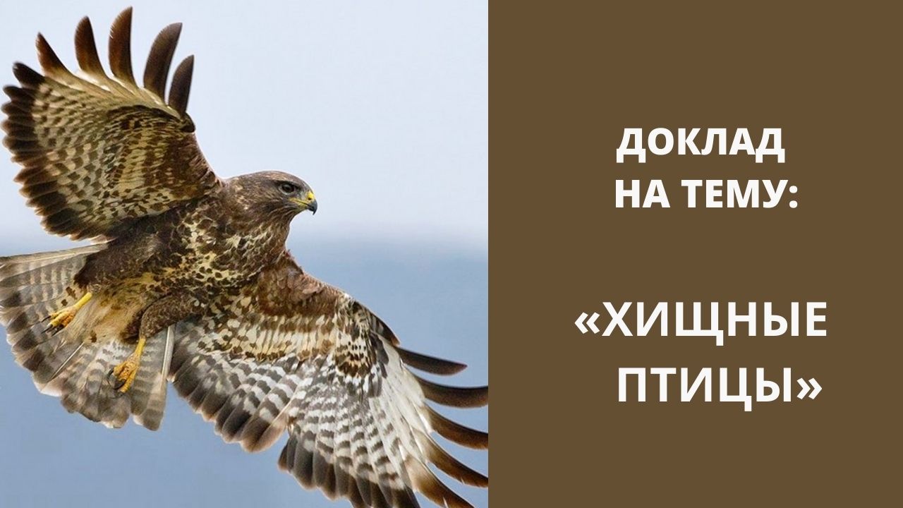 Почему харли квинн рассталась с джокером, будут ли вместе или нет