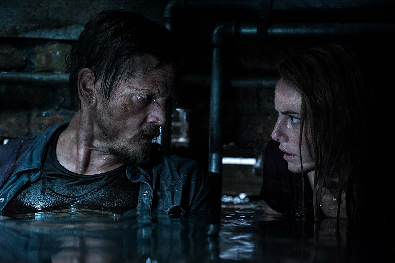 Капкан - фильм 2019: дата выхода, актеры, трейлер