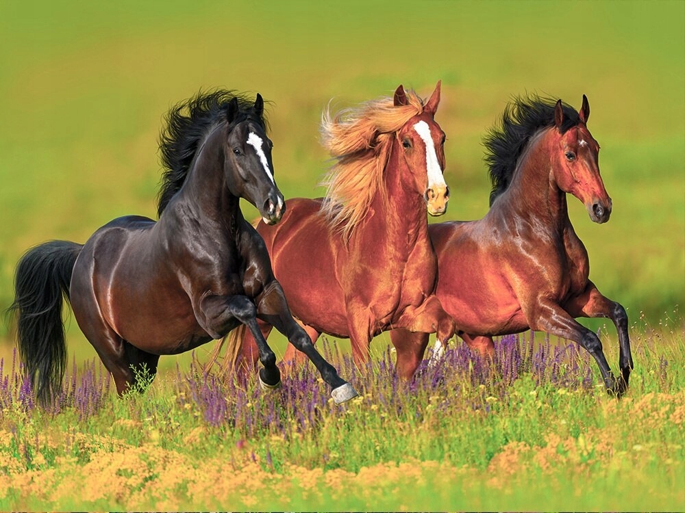 Red dead redemption 2 best horse | gamesradar+