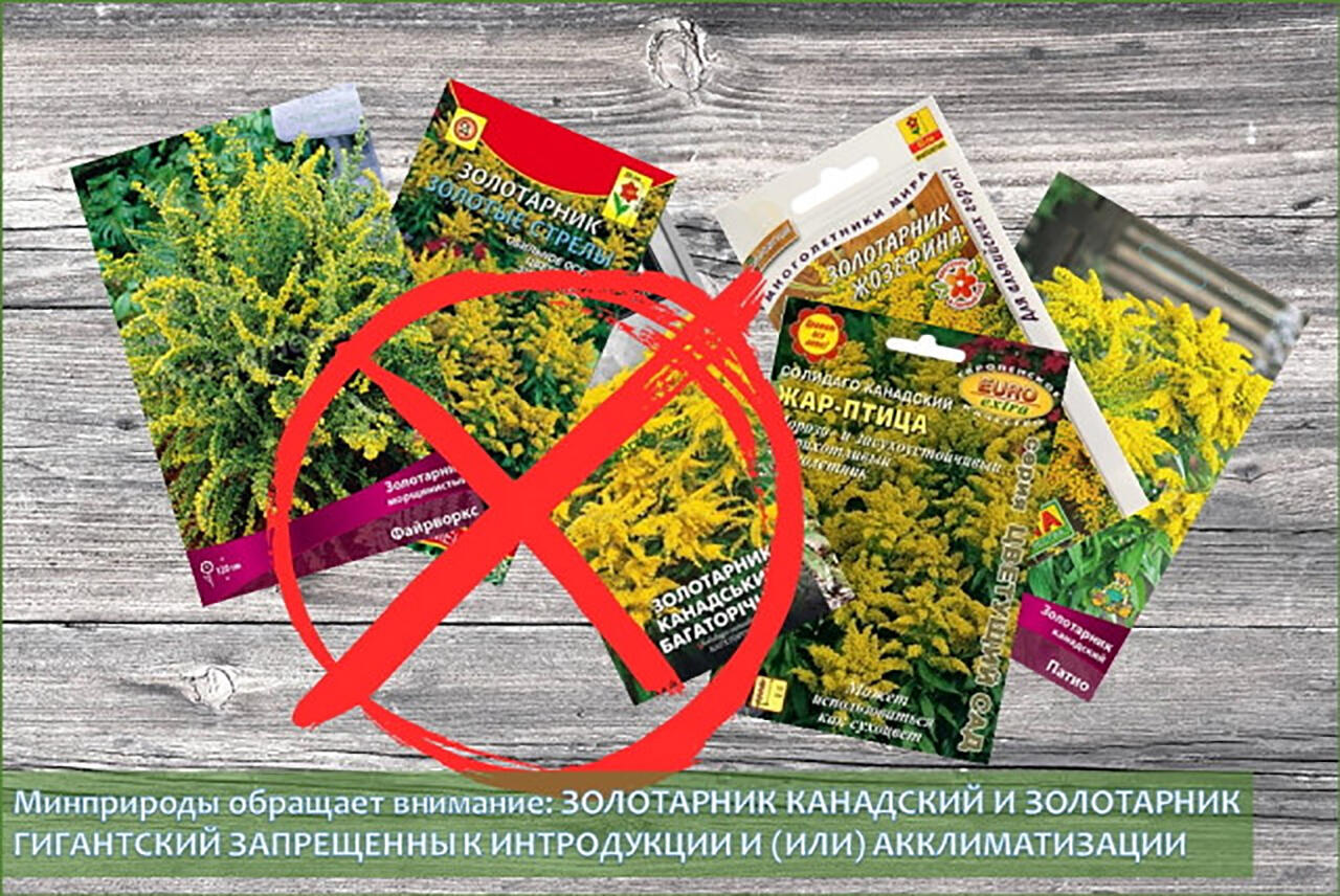 8 фильмов ужасов, премьера которых состоится в фильме "добро пожаловать в blumhouse"