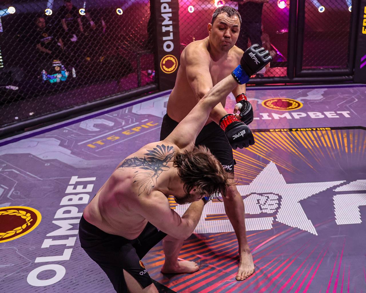 The ultimate fighter 31 — самый ожидаемый сезон в истории реалити-шоу