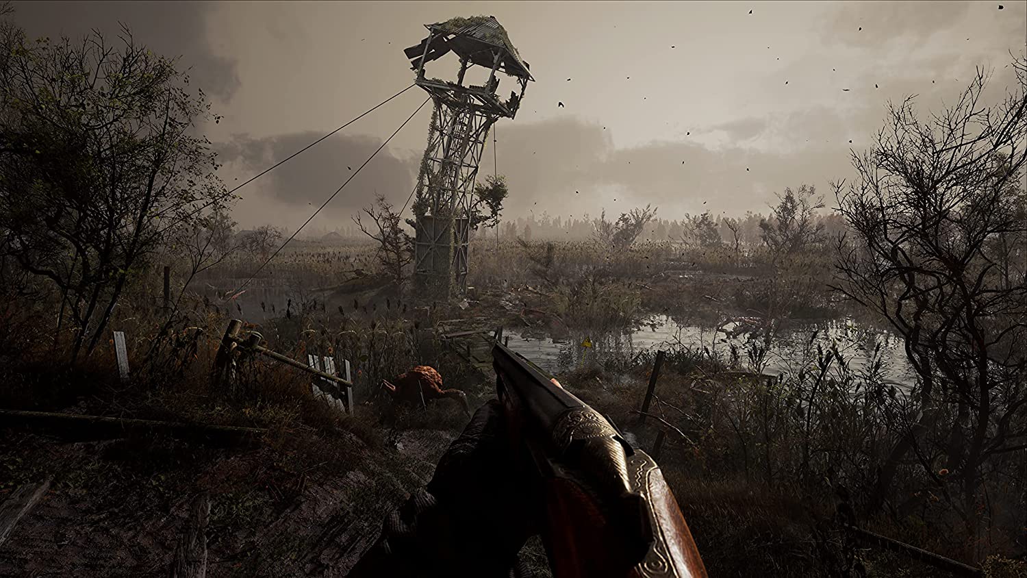 Дата выхода | s.t.a.l.k.e.r. 2: сердце чернобыля