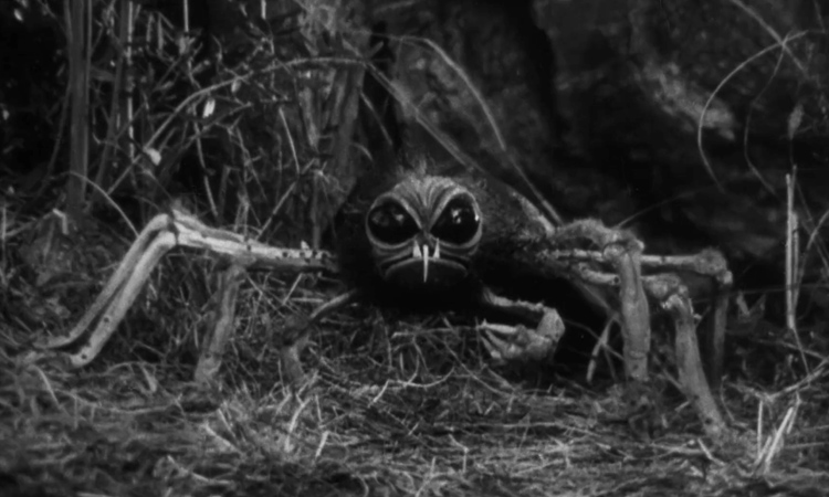 Ужасы острова паука - horrors of spider island - dev.abcdef.wiki