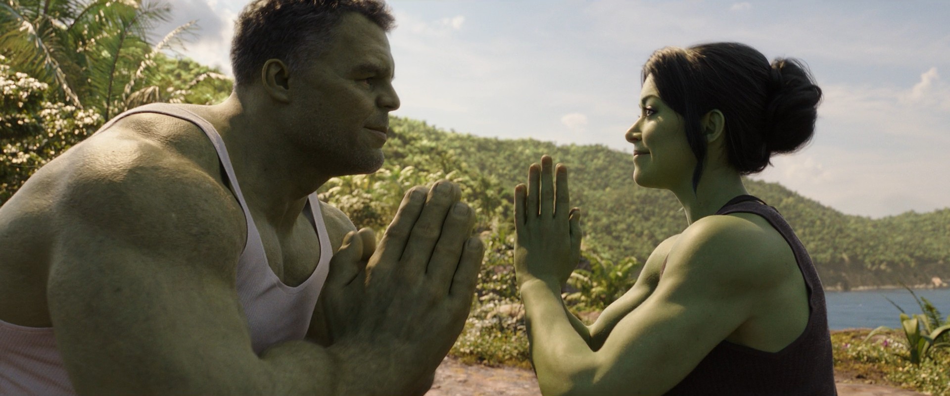 Женщина-халк: судебный адвокат | кинематографическая вселенная marvel вики | fandom
