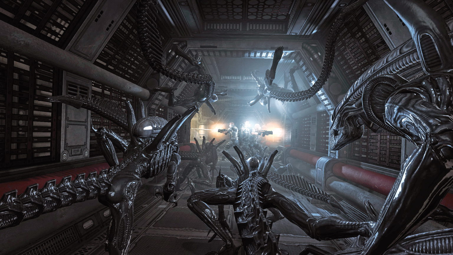 Alien vs predator 3: новости и слухи (2023) | avp central, exclusive: mojien vs predator movie в разработке для hulu, подробности сюжета раскрыты – trustmovie2011.com